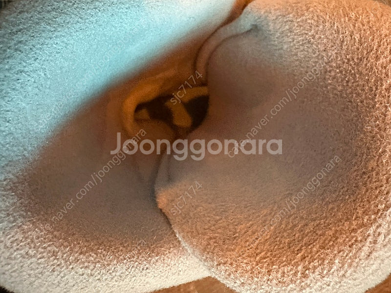 슬레드독 스노우 스케이트 s(5-7) 운포--2