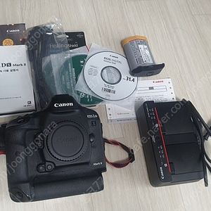 캐논 플래그쉽 dslr 1dx2 1dx mk2 왕덱스2 팝니다 대구직거래