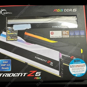 G.Skill DDR5-8000 CL40 Trident Z5 RGB J패키지 (48gb (24gb x2)) F5-8000J4048F24GX2-TZ5RK