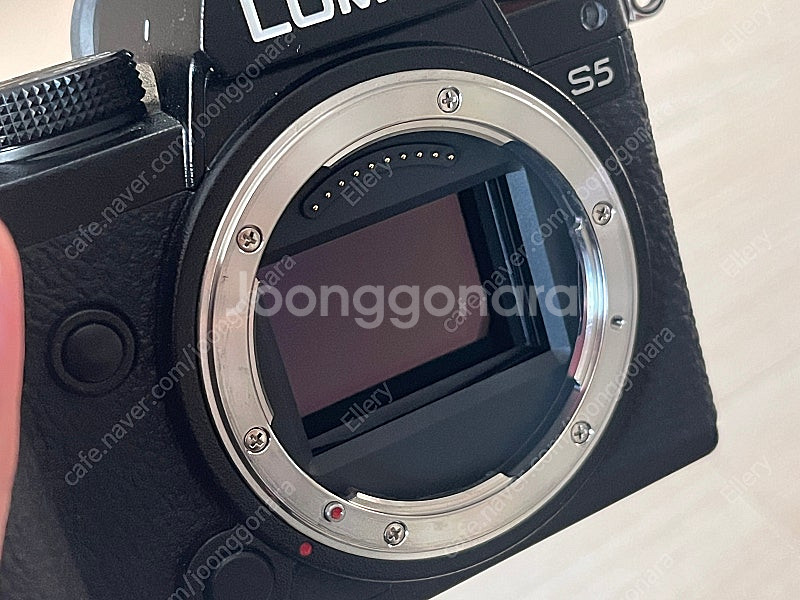 파나소닉 루믹스 S5, 24-105mm f4 렌즈 팝니...--0