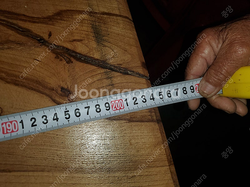 괴목 600년생 팽나무 탁자--3