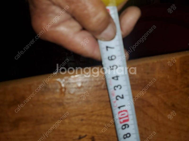 괴목 600년생 팽나무 탁자--4