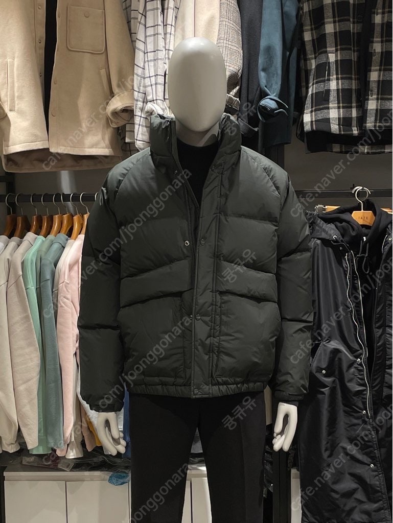 테이트 오리털 덕다운 패딩