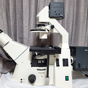 현미경 Ziess Axiovert 200 Fluorescence and Phase Microscope