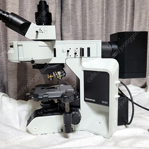 올림프스 BX53 형광 현미경 (BX53 Fluorescence Microscope)