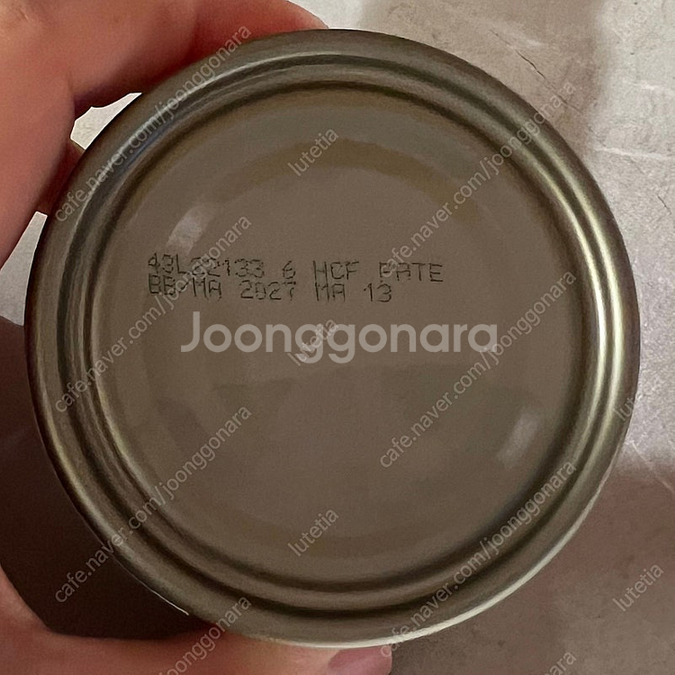 헬시쇼어스 캣 습식캔--1