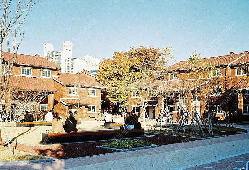 캐논 캐노넷QL17 과 캐논 플레시 세트--7