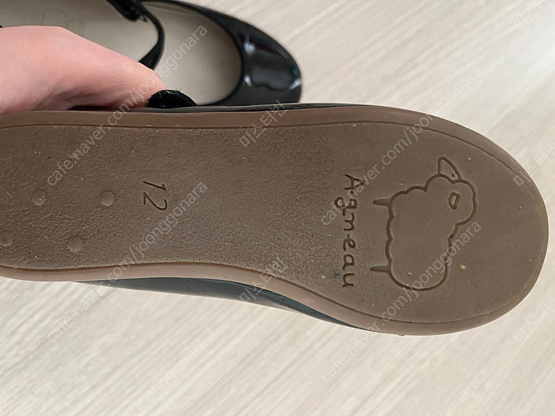 앙뉴구두, 운동화 이미지