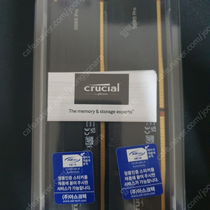 마이크론 Crucial DDR5 5600 pro 16g×2