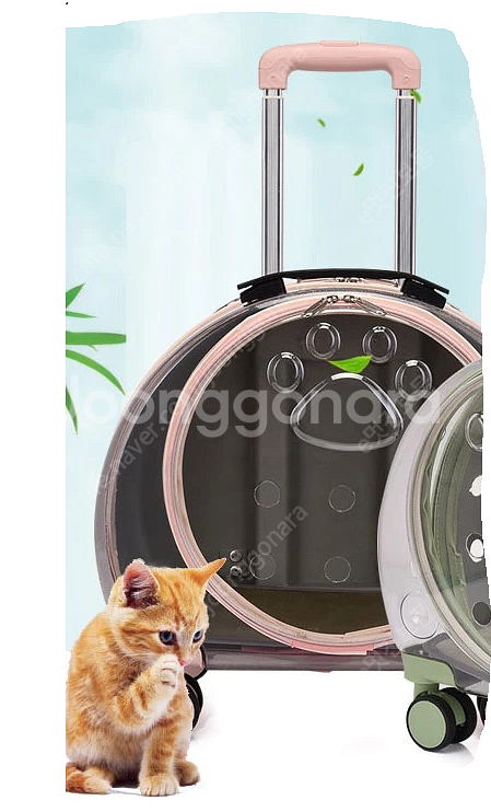 반려동물투명캐리어(앵무새용가능)--1