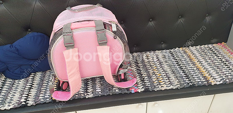 반려동물투명캐리어(앵무새용가능)--5