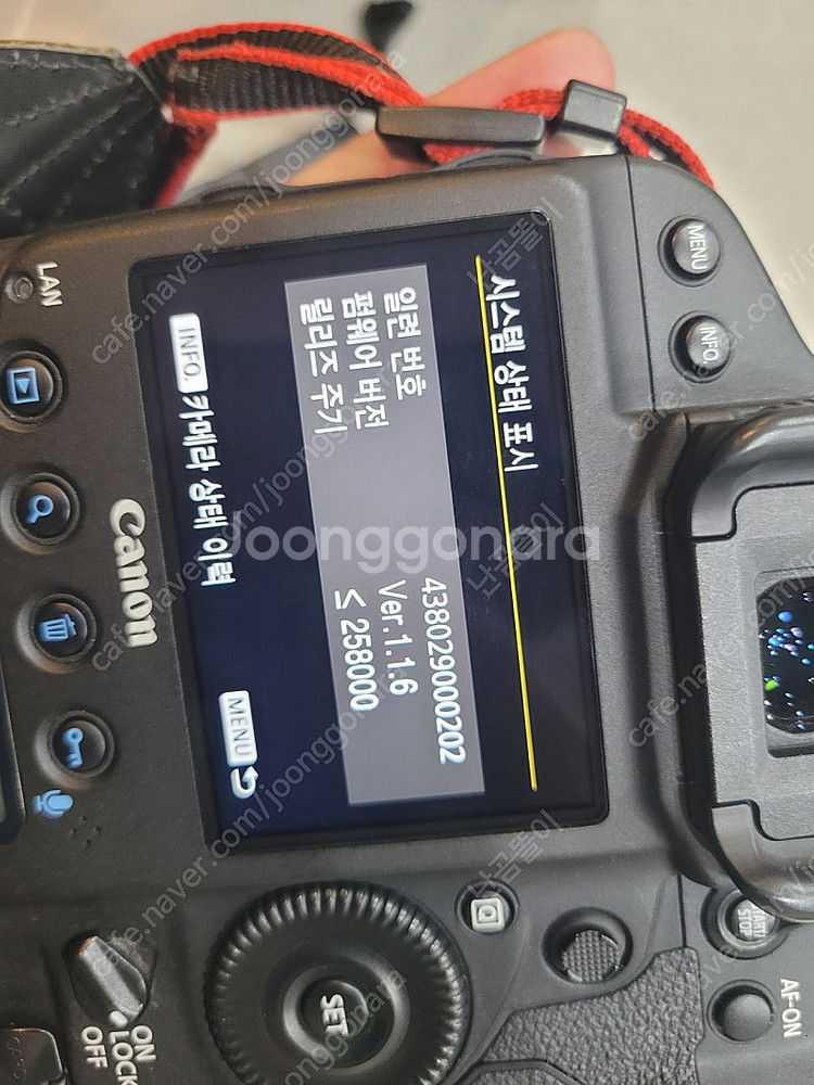 깨끗한 1dx mark2(왕덱스2)와 시그마 아트 단렌즈들(캐논마운트) 팝니다.--9