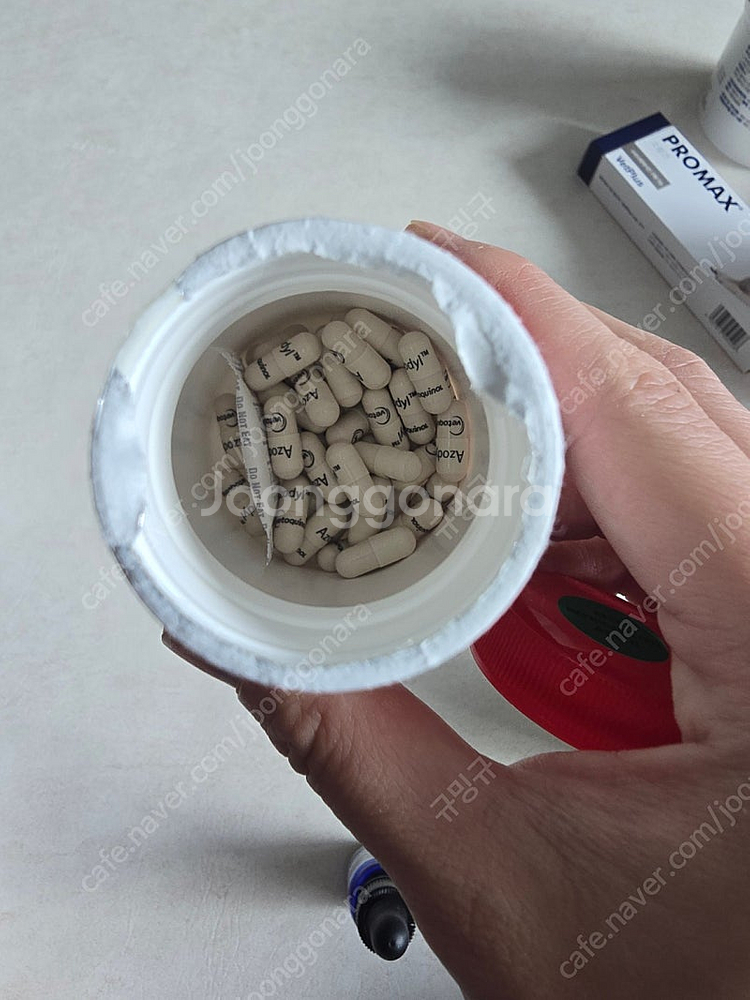 아조딜 40알 이상( pro5a 유산균 4/1정도 남은거 같이드려요)--1