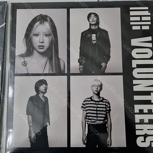 더 발룬티어스 1집 The Volunteers LP