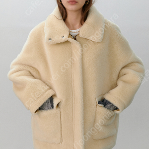 모데스트무드 테디무스탕