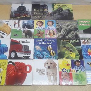 R B B Roucke Board Books 18권