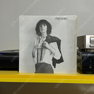 [Punk] Patti Smith (패티스미스) LP 판매해요