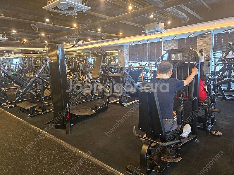 뉴텍 헬스기구 중고 판매 실 사용기간 1년--1