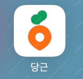 대리기사 배달 당근 몬스터헌터나우 포켓몬고 몬헌나우 포...--0