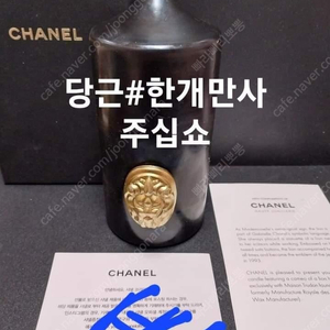 샤넬 사자 캔들