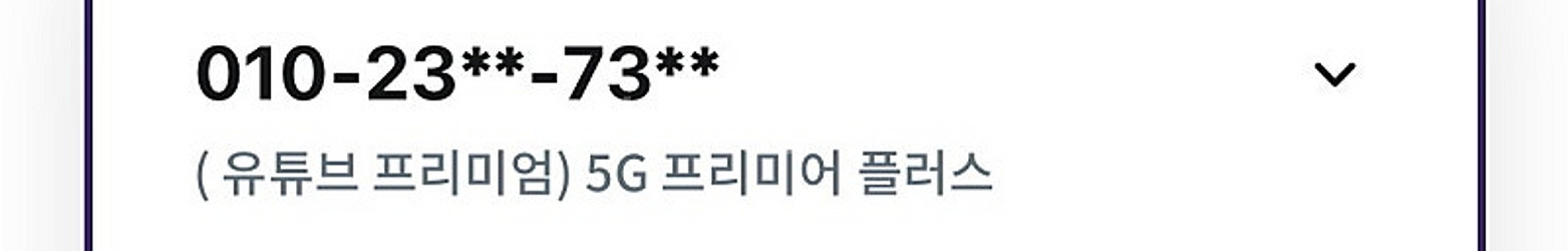 아이폰13프로 아더에러 케이스--0