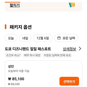 도쿄 디즈니랜드 입장권 (성인2) 판매합니다 (12/3) 일괄 135000