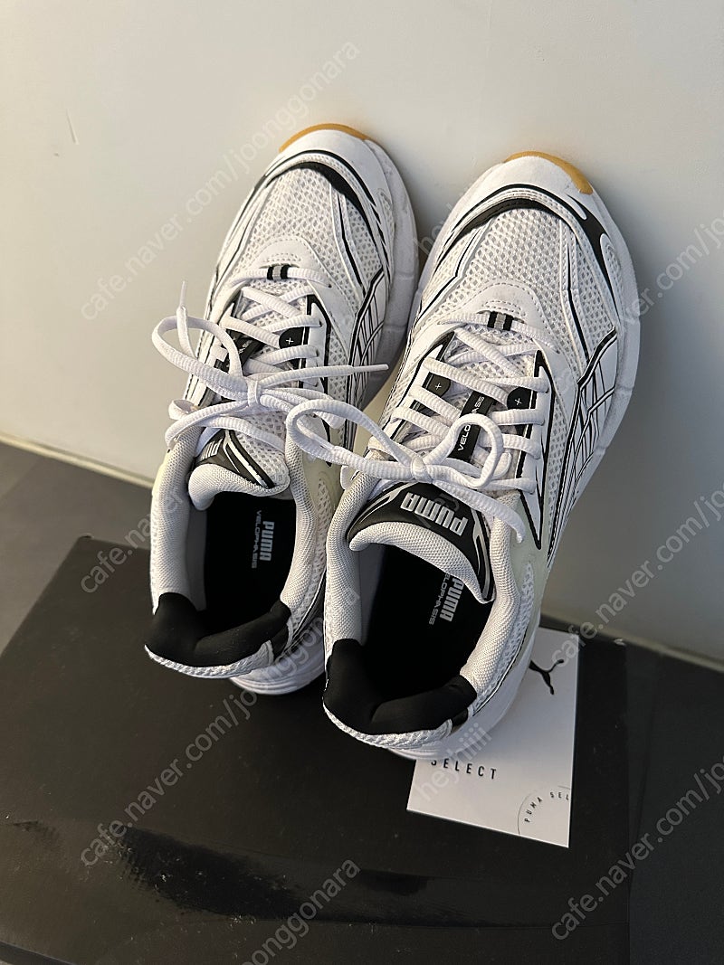 푸마 벨로파시스 페이즈드 270사이즈