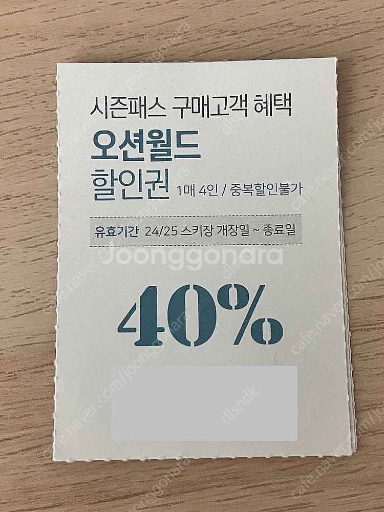 비발디파크 / 오션월드 / 스노위랜드 할인권--3
