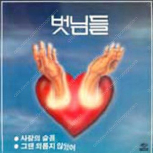 [LP] 벗님들 - 사랑의 슬픔 / 그댄 외롭지 않았어 중고LP 판매합니다.