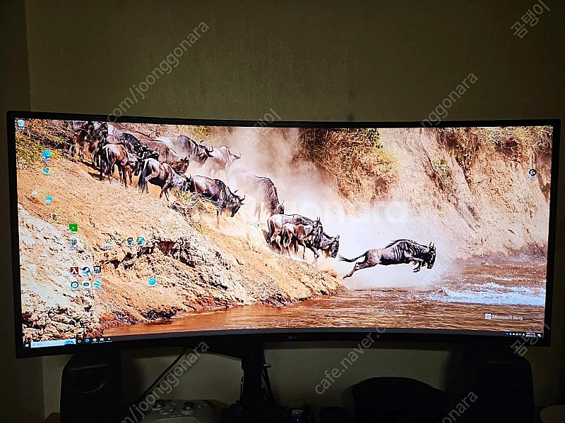 LG 울트라와이드 모니터 38WN95C--0