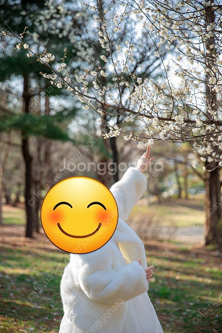 퍼 볼레로--0
