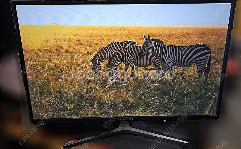144hz 27인치 LED 모니터 272FL144 팝니...--0