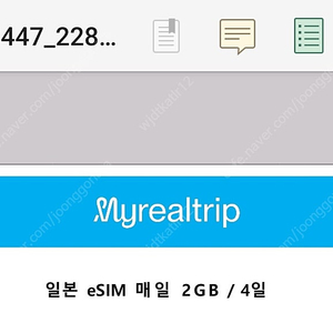 일본 이심 esim 4일 매일 2GB 2장 판매