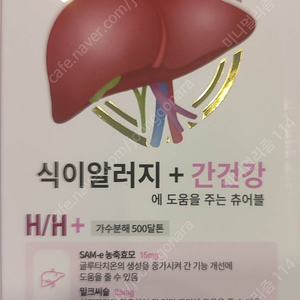 닥터힐메딕스 간보조제 츄어블 택포2만3천원