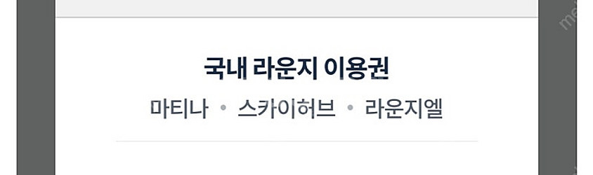 더라운지 인천공항라운지 마티나 스카이허브 라운지엘 1+...--2