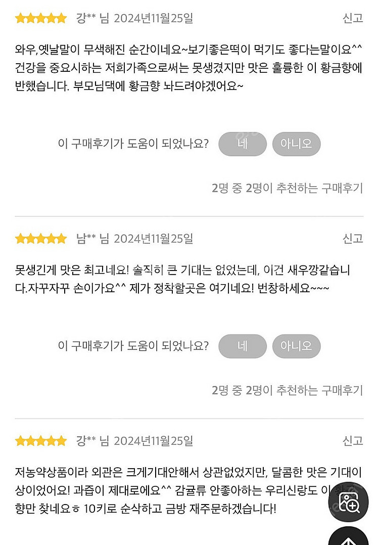 제주도 산지직송 노지 황금향--0