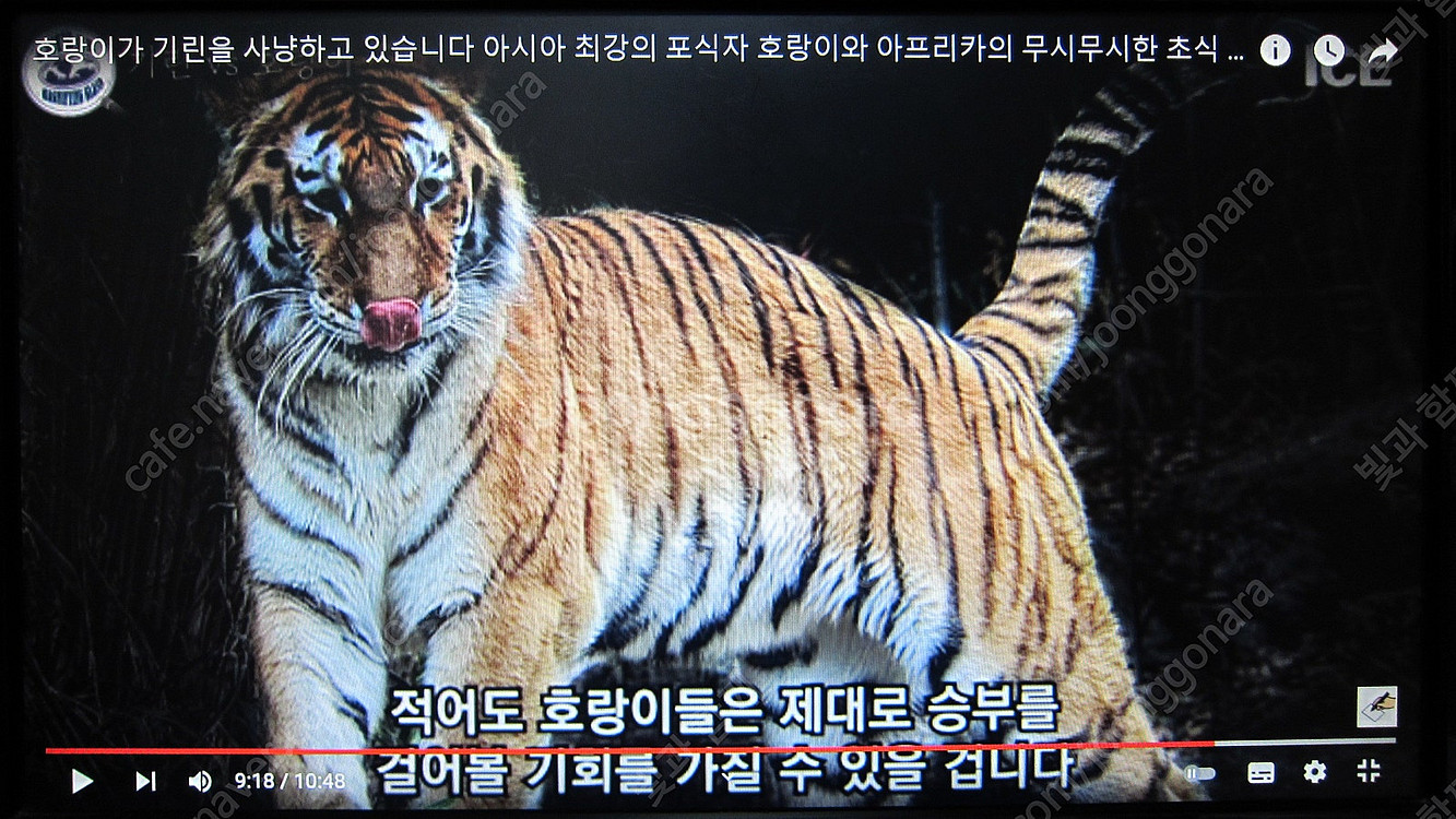 [대전] ﻿﻿LED모니터 20인치 = 2대 3만원--9