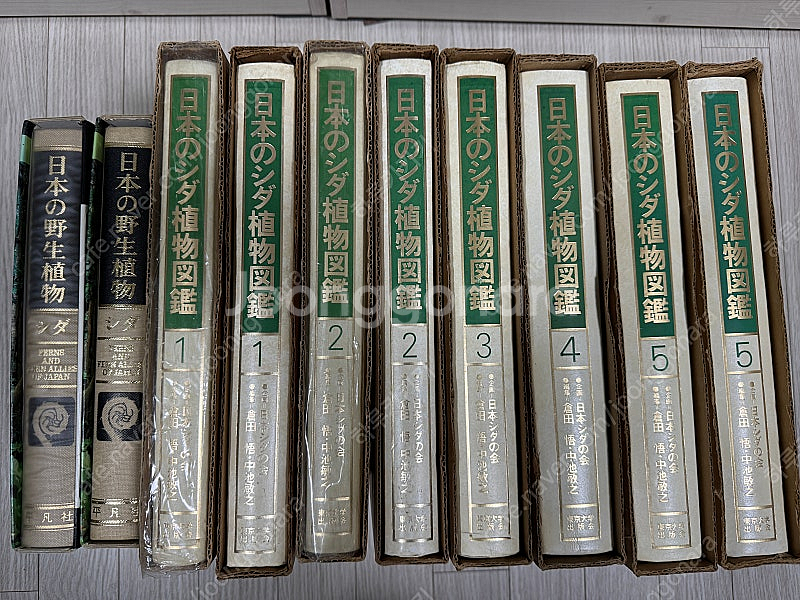 일본양치식물도감, 일봉야생식물 양치식물편--0