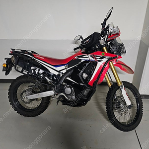 CRF250랠리