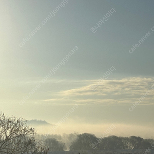 세렌디뷰티 라블룸 은밤 구해요