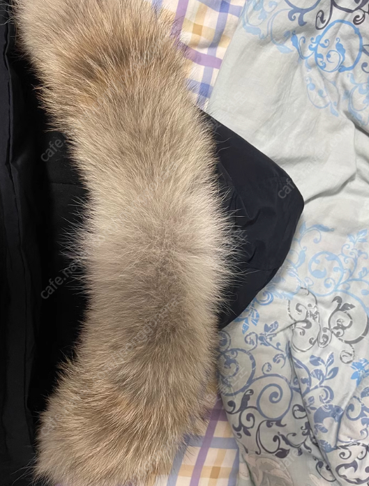 캐나다구스 모자 퍼 털 이미지