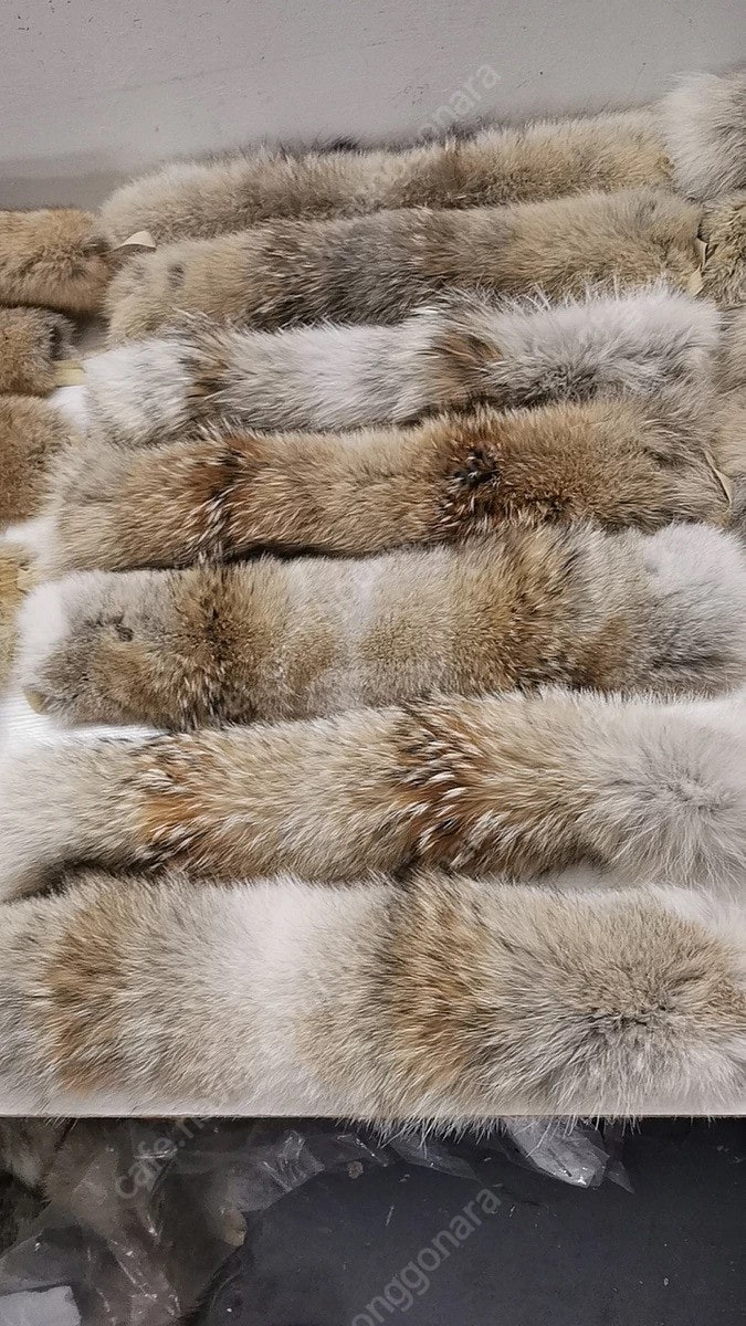 캐나다구스 모자 퍼 털 이미지