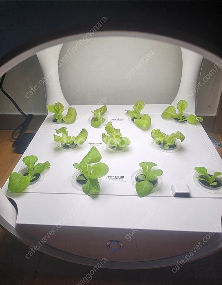 식물 수경 재배기(+씨앗+그로단) 판매합니다(네고 가능)--1