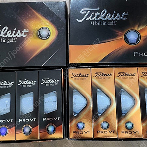 Titleist Pro V1 미사용 Logo Ball