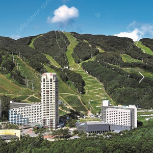 휘닉스 평창 리조트 12월8일~9일(일월 1박)