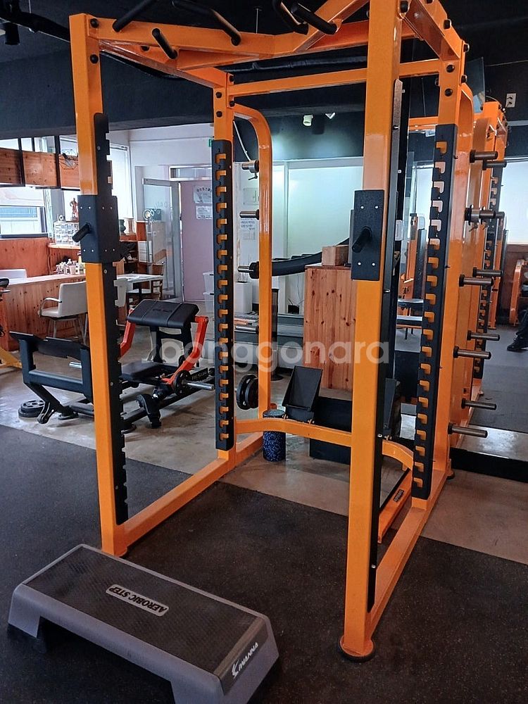 (가격인하)뉴텍, 다이아몬드 웨이트머신 6종 멀티체스트...--2