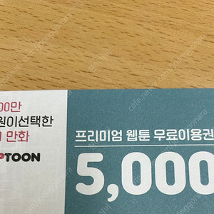 탑툰 5000원권