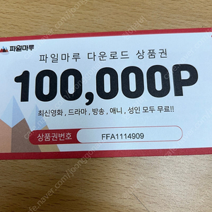 파일마루 10만원권