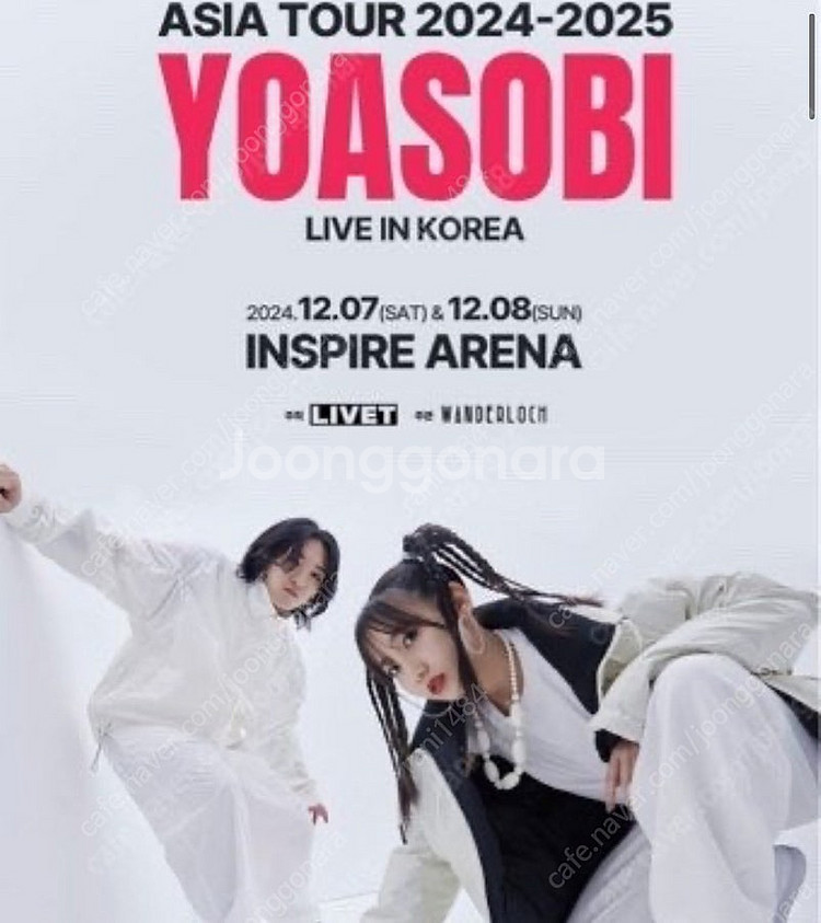 요아소비 내한 콘서트 12/8일(일)--0