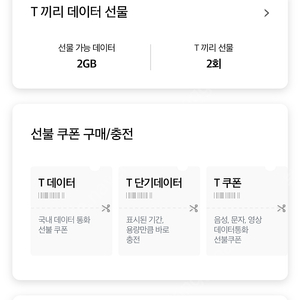 SK데이터 2기가